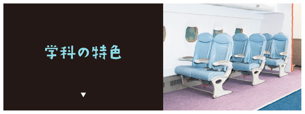 学科の特色
