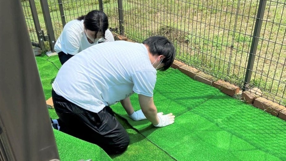 動物さん